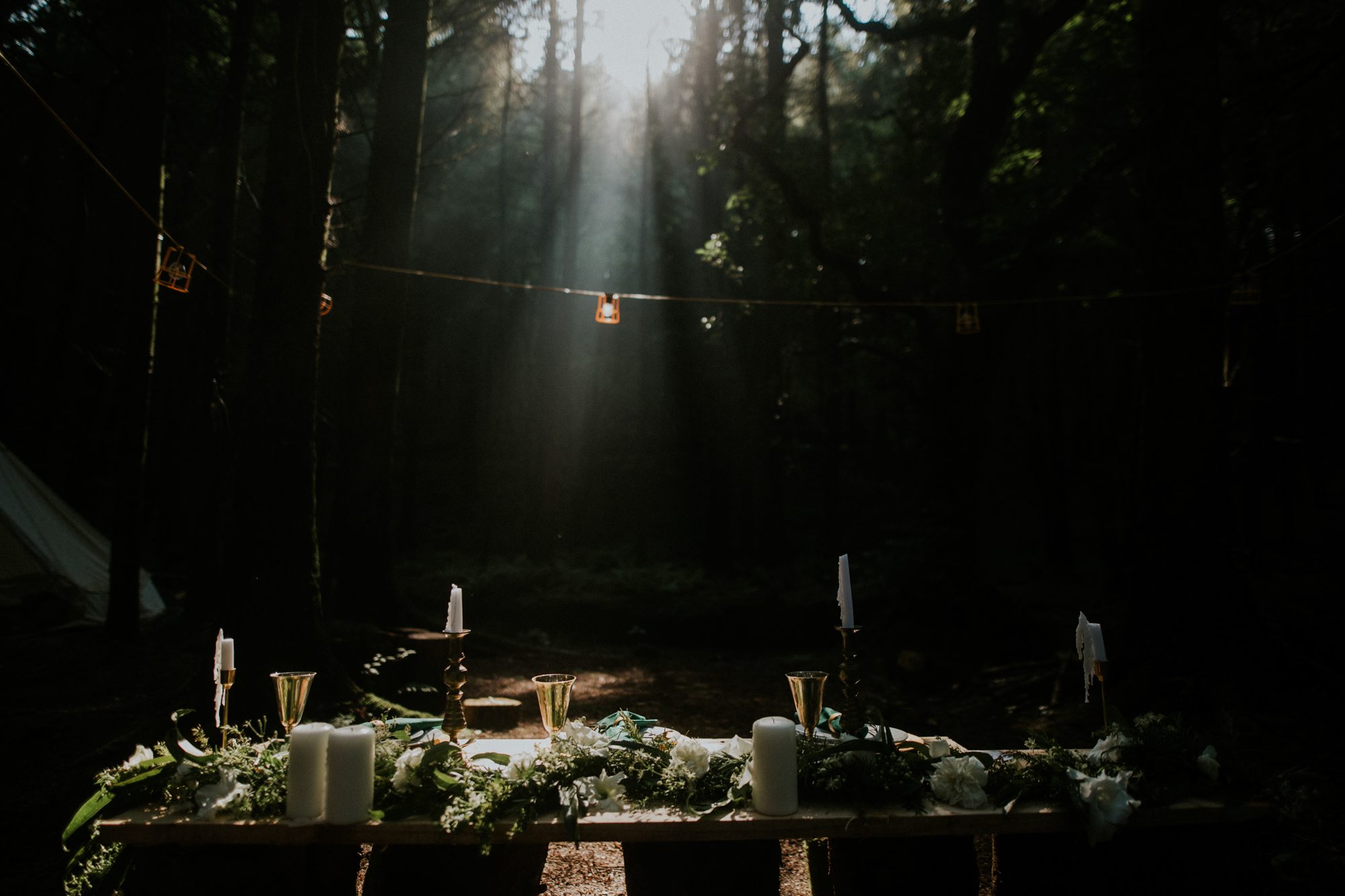 WEdding breakfast in the forest at Underpine Wood elopement venue in Bude