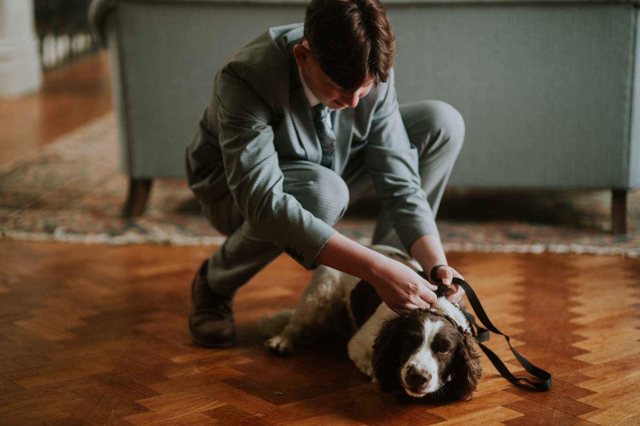 A guest and the bride's dog before a wedding at Scorrier House in Cornwall